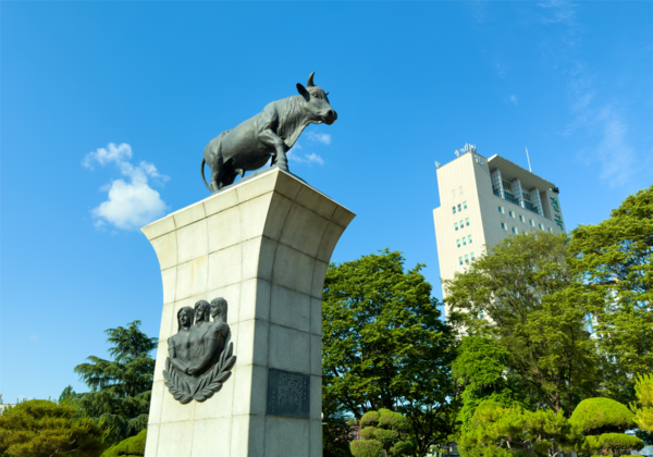 건국대 황소상.