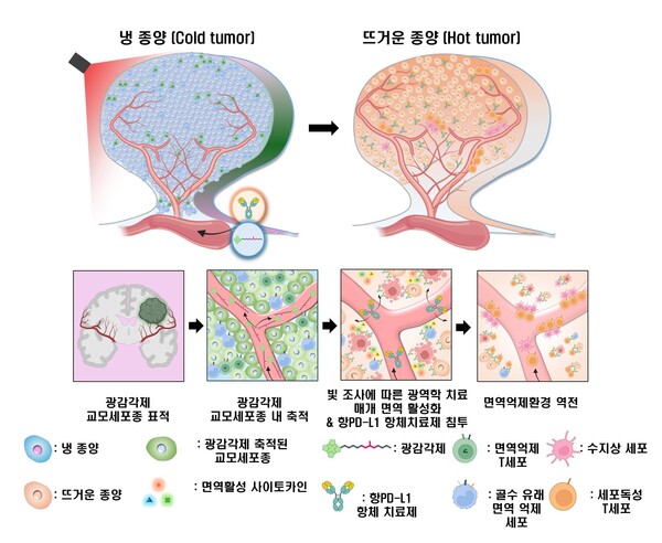 교모세포종의 슬롯 나라 환경을 조절하는 광슬롯 나라나노플랫폼의 작용 개념도. 사진=가톨릭대 제공