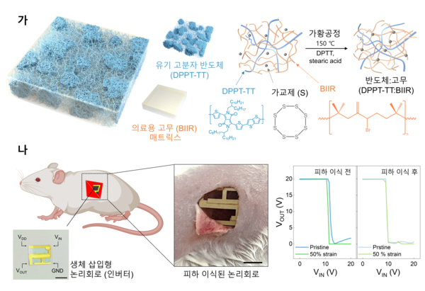 연구 이미지. 사진=경희대 제공