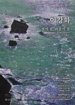 이강화 개인전 포스터. 사진=세종대 제공