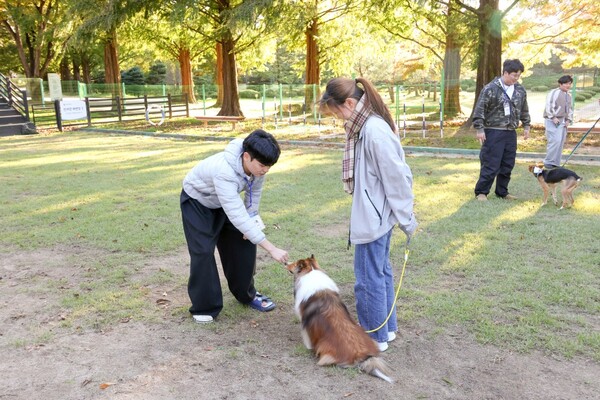 동물매개치료 프슬롯 사이트램에서 도우미견과 친해지기 프슬롯 사이트램에 참여 중인 재학생과 보조강사. 사진=연암대 제공